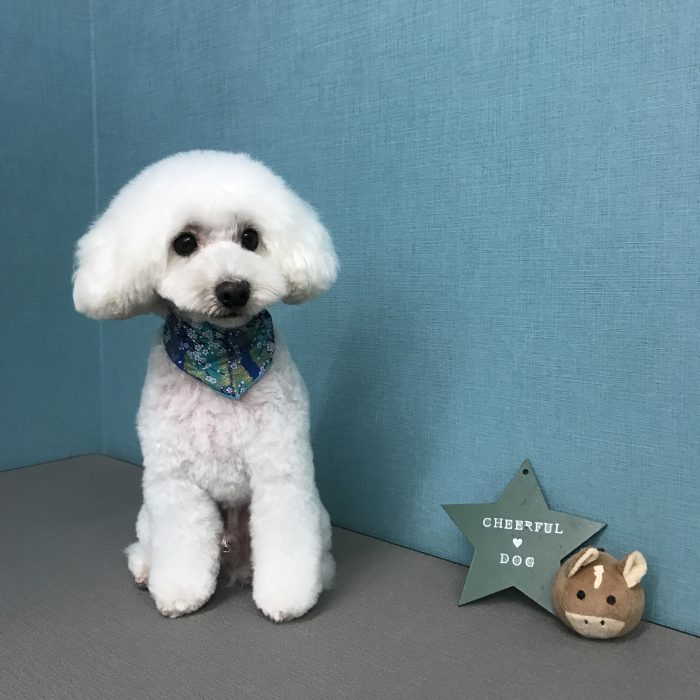 広田　ポポくん