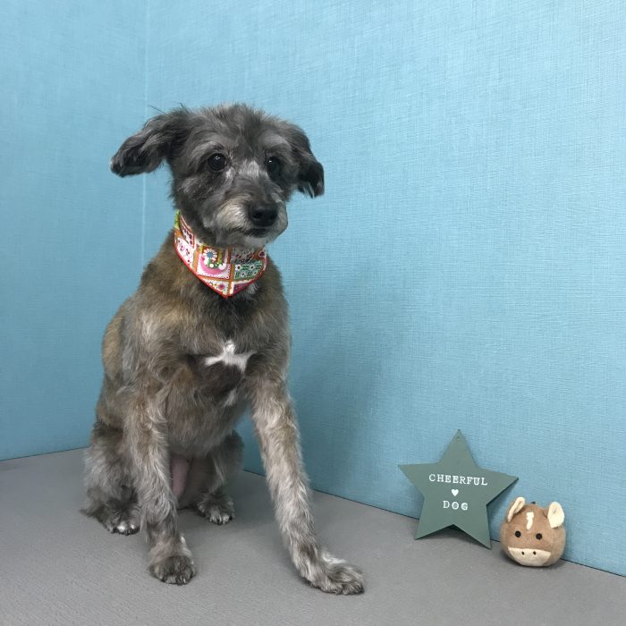 田中　ココナちゃん