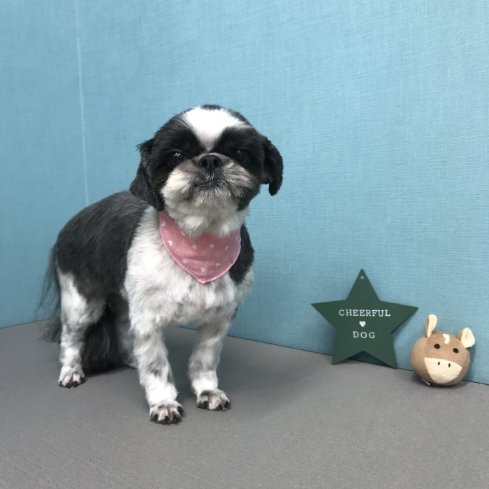 北村　ココちゃん