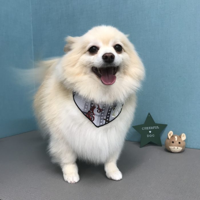 佐々木　トニーくん