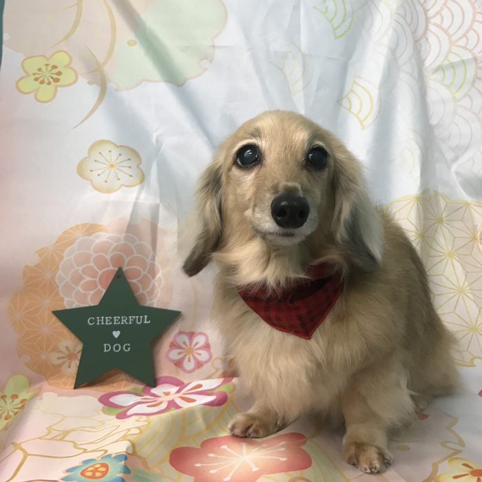 西田　くるみちゃん