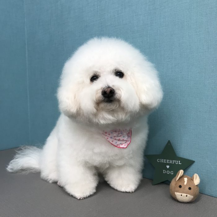 横堀　風花ちゃん