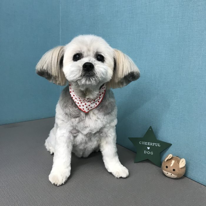 山本　マリちゃん