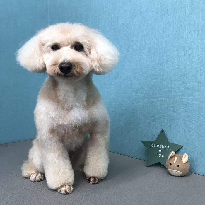 伊東　くるみちゃん