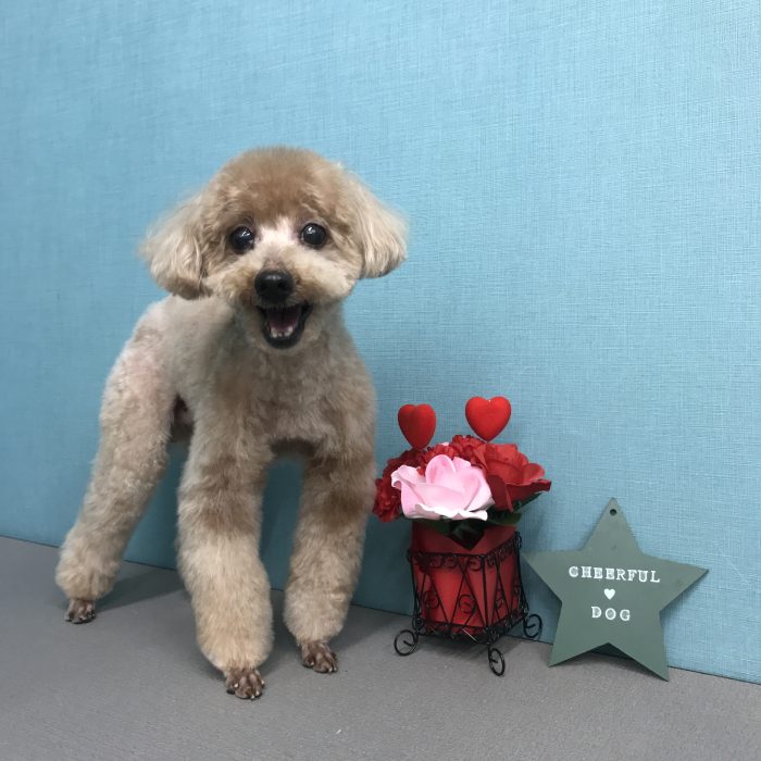 諏訪　カイくん