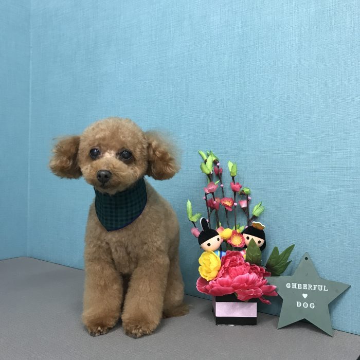 東　ワサビくん