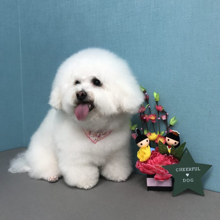 横堀　風花ちゃん