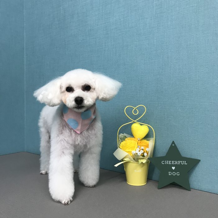 鹿野　モコちゃん