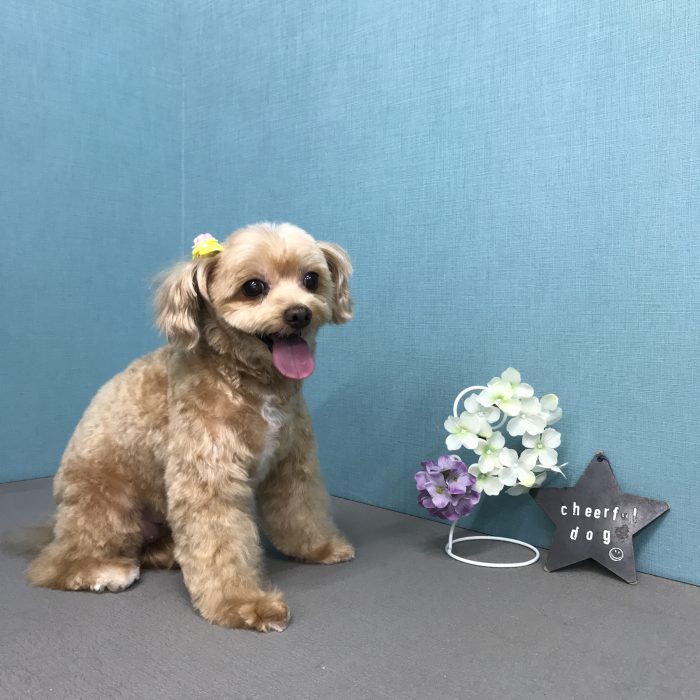 北　ニコちゃん