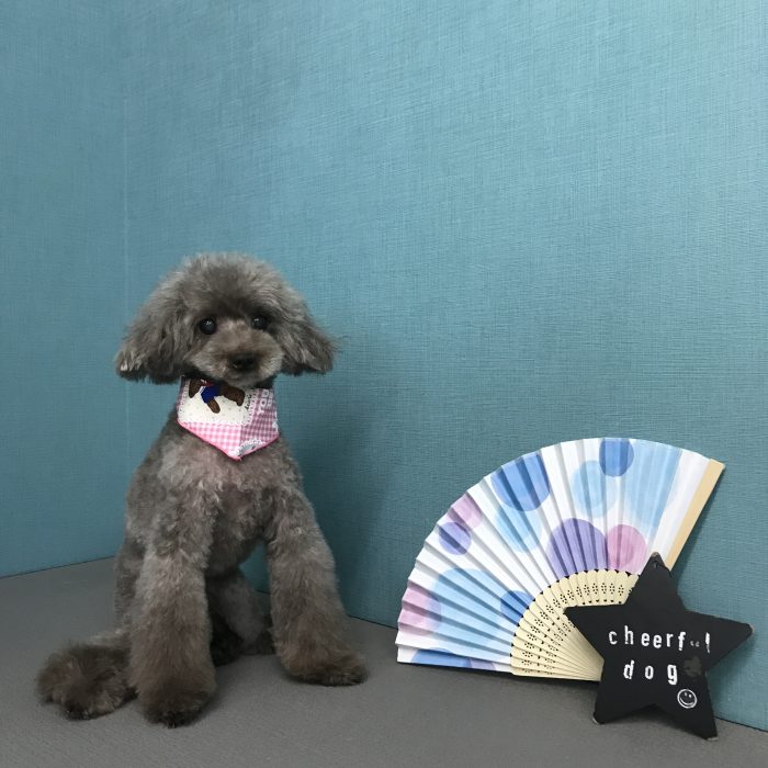 桶川　ココナちゃん
