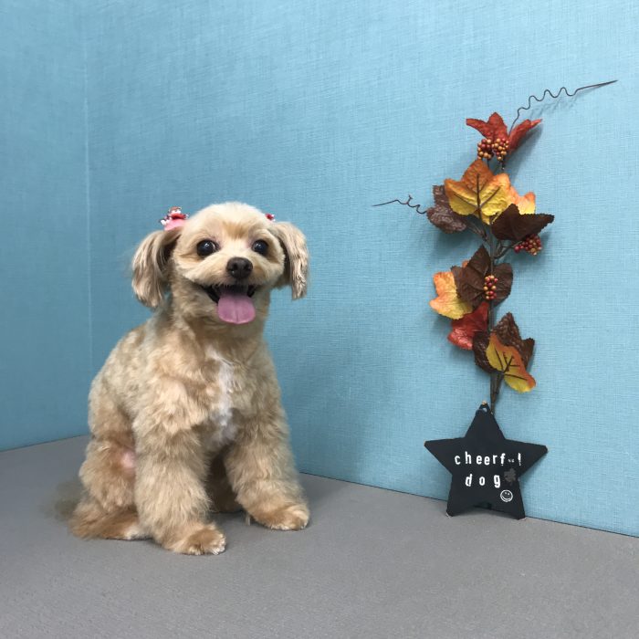 北　ニコちゃん