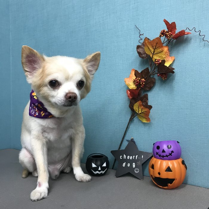 上田　ゆうたくん