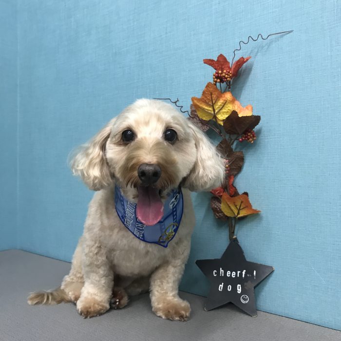 田中　サスケくん