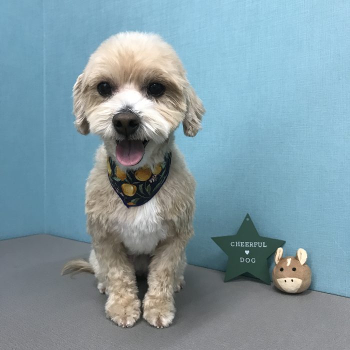 大野　ルウくん