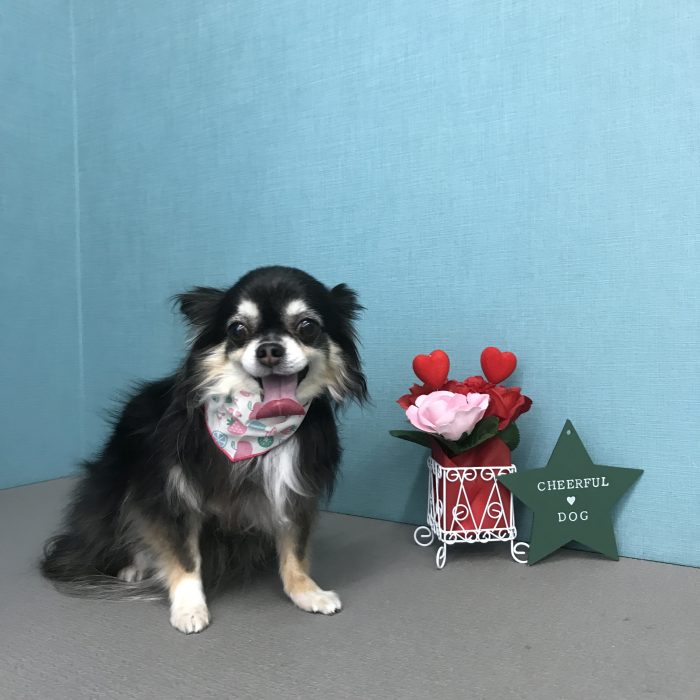 板谷　こなつちゃん