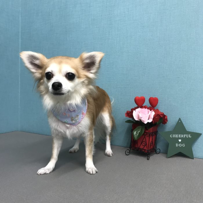 堂前　ひなちゃん