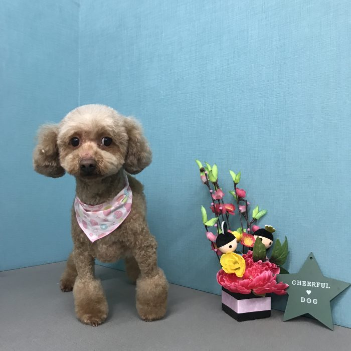 長田　チャコちゃん