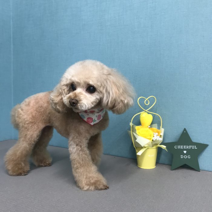 楠　ＣｏＣｏちゃん