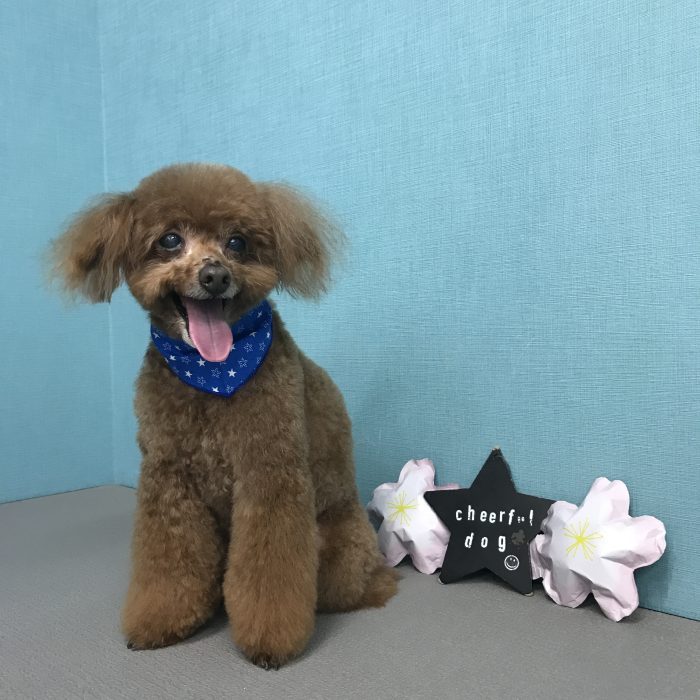 山崎　もこくん