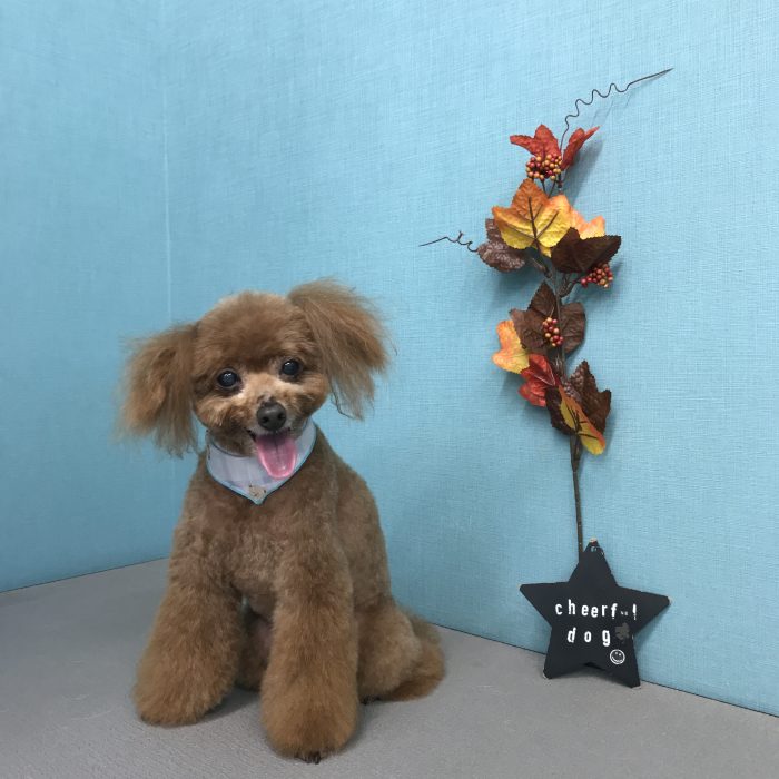 山崎　もこくん