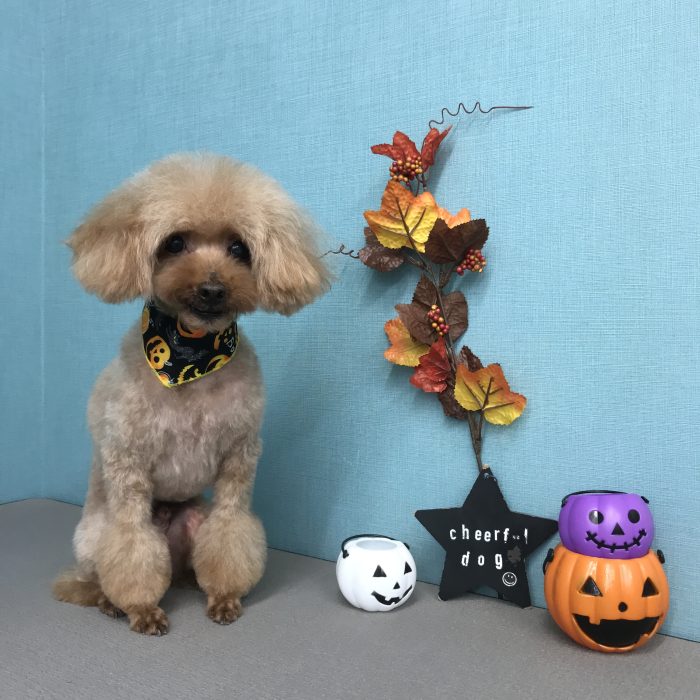 高橋　ルビーくん