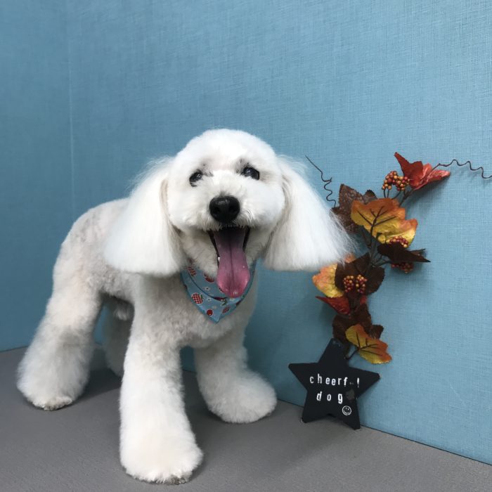 山本　ロンくん