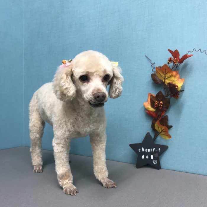 川岸　さくらちゃん