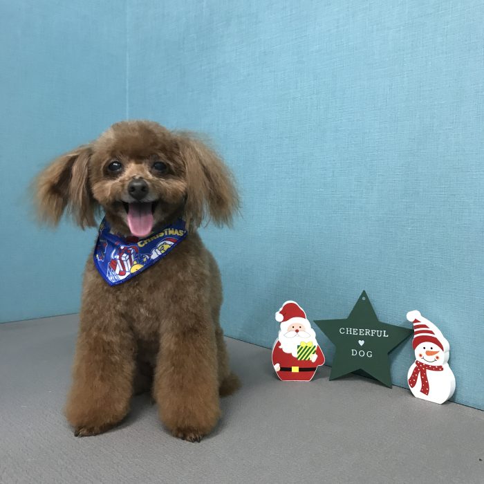 山崎　もこくん