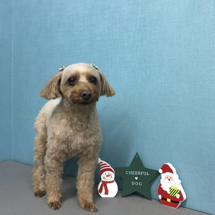 青木　ココちゃん