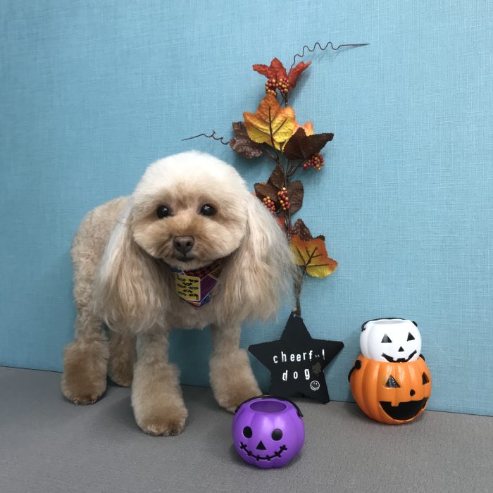 高橋　ペロちゃん