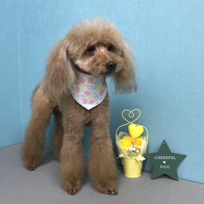 藤浜　くうくん