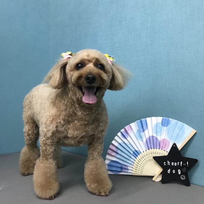 鐘築　まこちゃん
