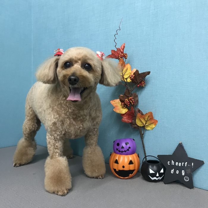 鐘築　まこちゃん