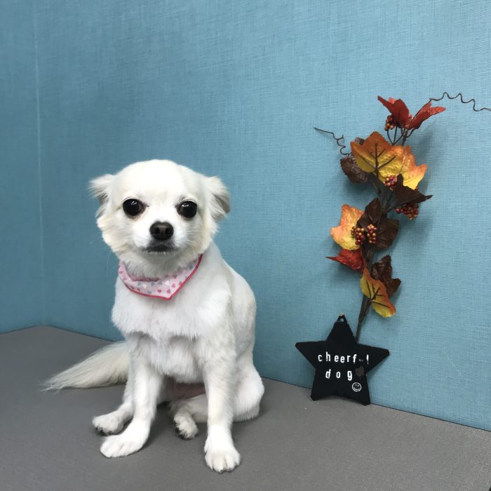 米澤　ユキちゃん