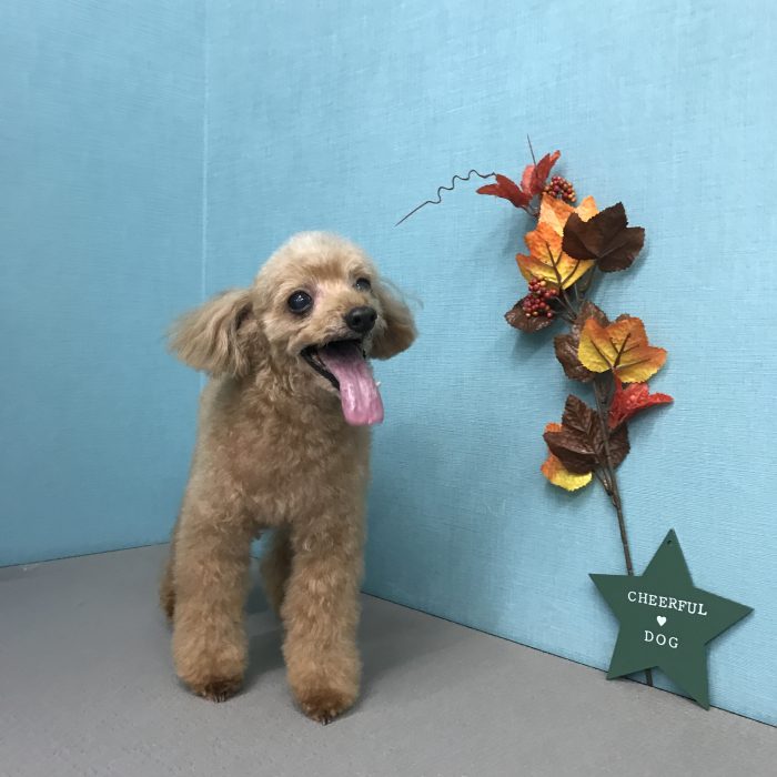 宮川　チャッピーくん