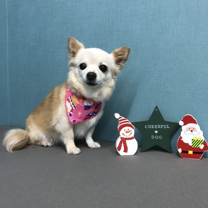 北西　ココちゃん