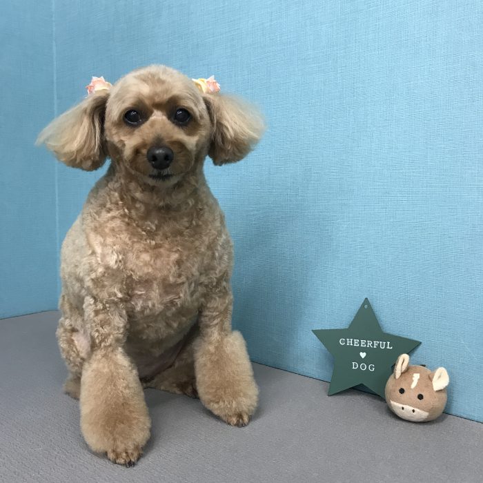 鐘築　まこちゃん