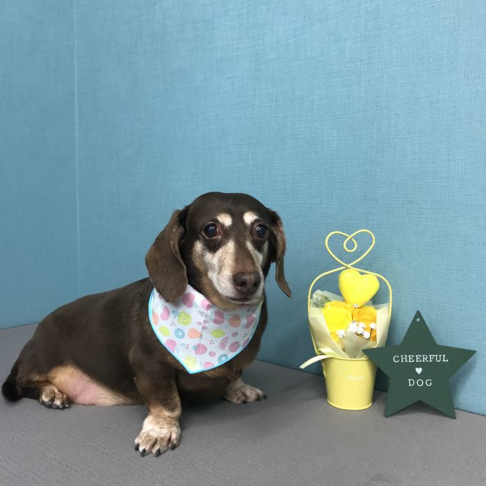 吉本　フェンディくん