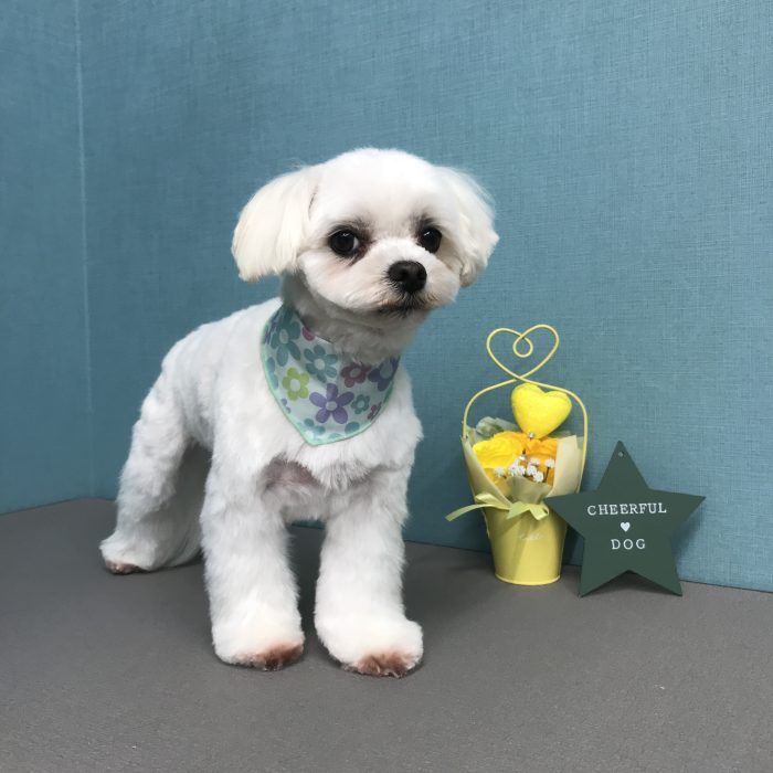 若島　まる助くん