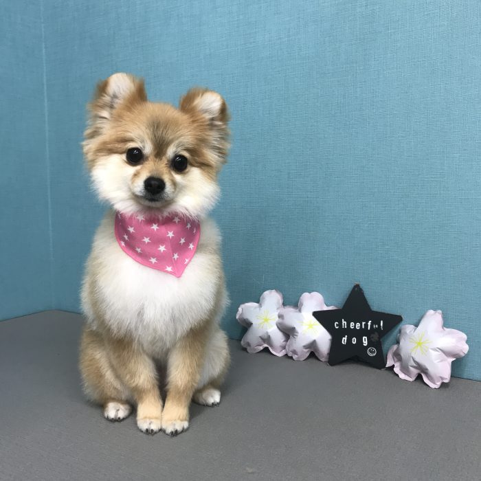浜野　サニーちゃん