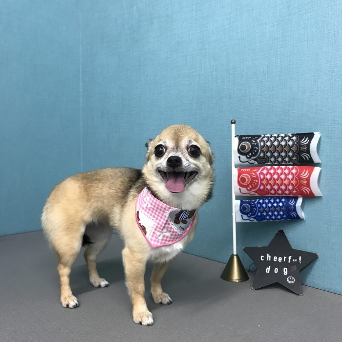 濱坂　おはぎちゃん