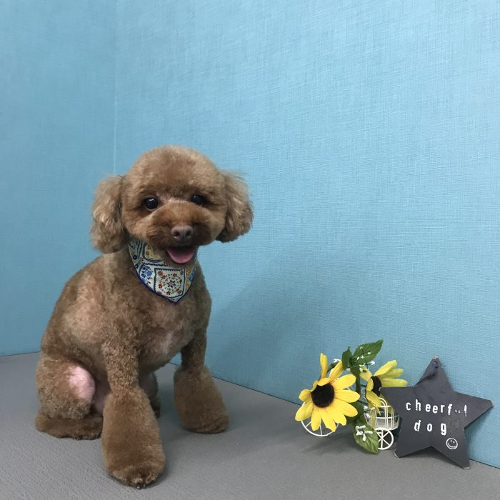 長田　たろうくん