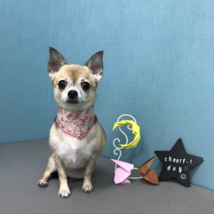 濱坂　おはぎちゃん