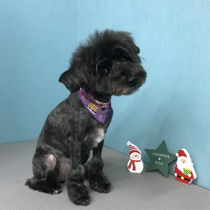 玉木　ココアちゃん