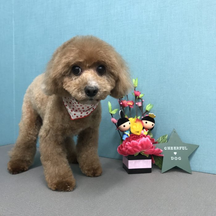 甲斐　ミエルちゃん