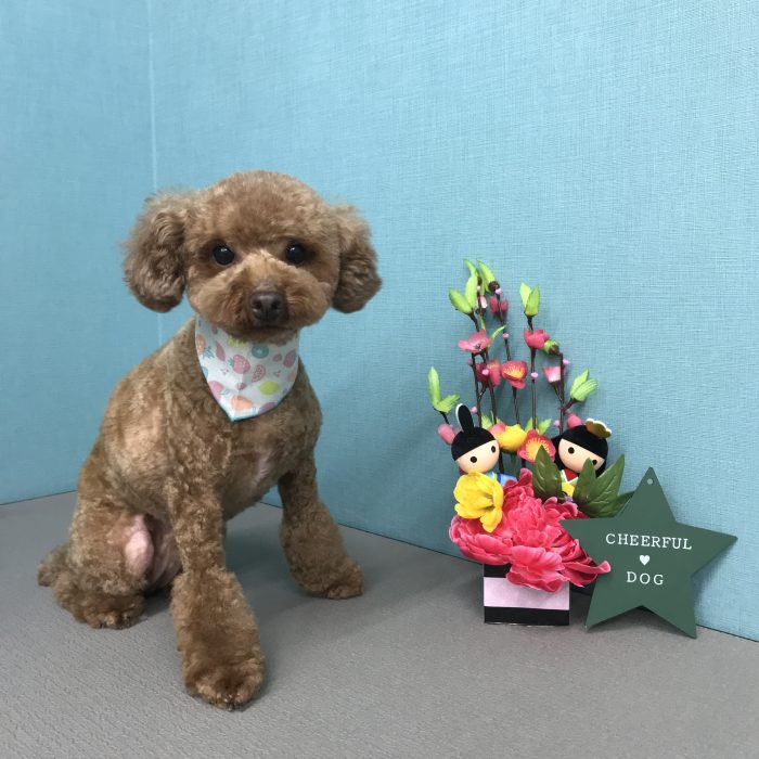 長田　たろうくん