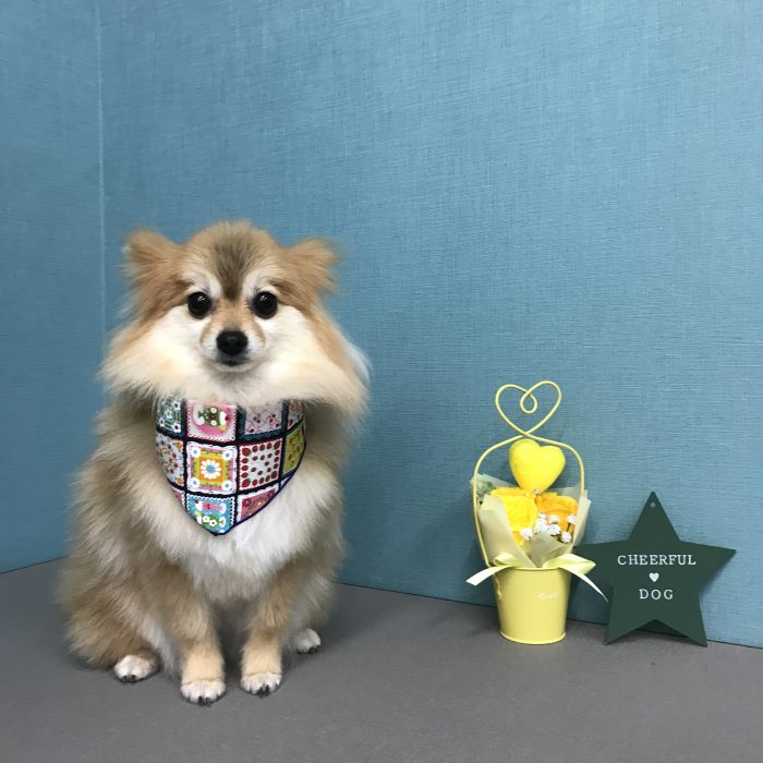 浜野　サニーちゃん