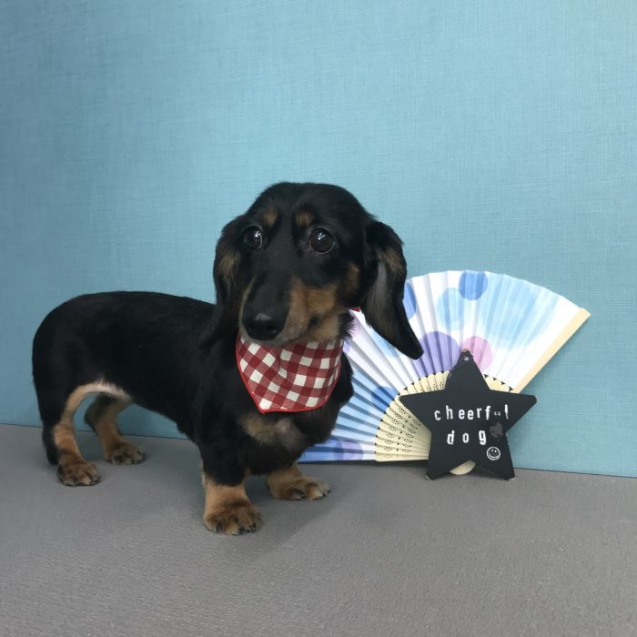 宮田　ことちゃん