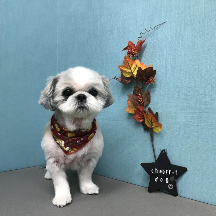 森　ココちゃん