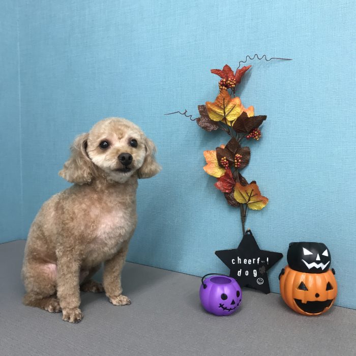 杉森　リキくん